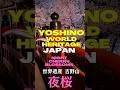 World Heritage Site Yoshino Night Cherry Blossoms世界遺産・吉野山の夜桜#shorts #travel #吉野 #夜桜