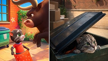 Talking Tom Cat 2025 In Real Life Part 12