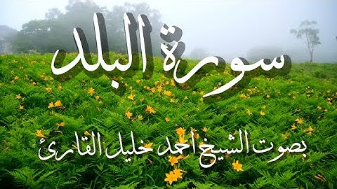 سورة البلد بصوت الشيخ القارئ احمد خليل القارئ .