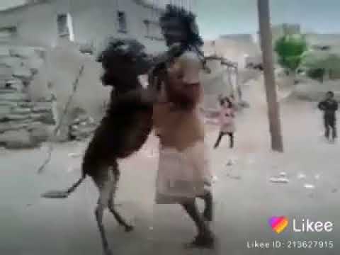 ازاي تتعلم ترقص سيلوه