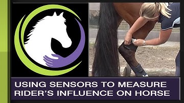 Rider Biomechanics: Using Sensors to See How the Rider Influences the Horse