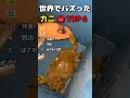 世界でバズった!すごすぎるカニ🦀たちTOP7