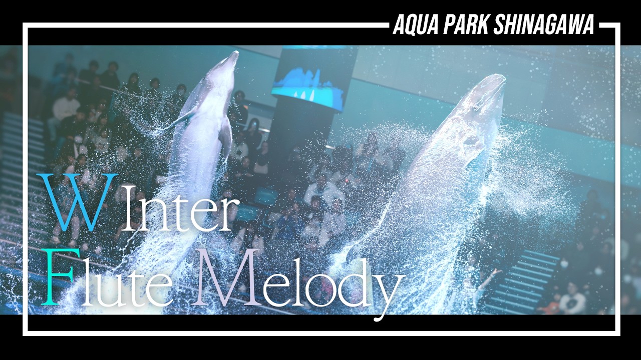 【4K60/定点】マクセル アクアパーク品川　「Winter Flute Melody」　ドルフィンパフォーマンス　NAKED SNOW AQARIUM 2026【イルカショー】