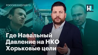 Где Навальный, давление на НКО, хорьковые цели