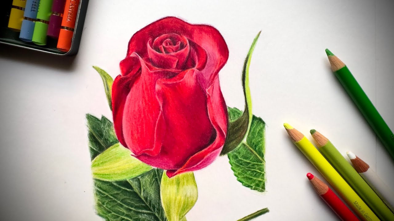 Drawing With Colored Pencils - A Beginner's Guide 