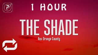 [1 HOUR 🕐 ] Rex Orange County - THE SHADE (Lyrics)