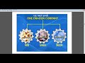 #dxn Culture ESD Nirmal Mahto