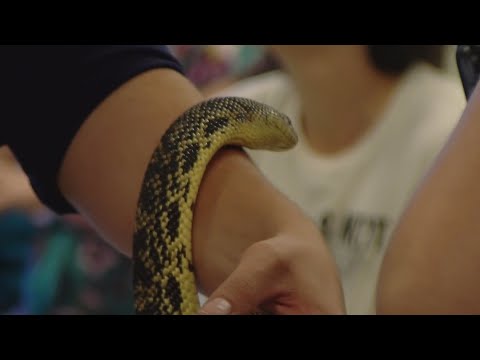 Snake seminar held at Heymann Recreational Center in Lafayette as part of Snake Week