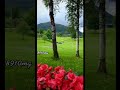 الفنانة ورده الطرب الأصيل ورده