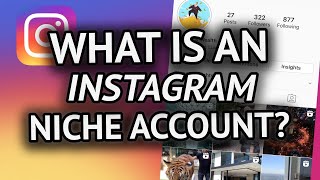What Is An Instagram Niche Account? (IG Theme Pages) screenshot 4