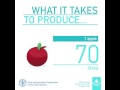 How much water is needed to produce...? 1