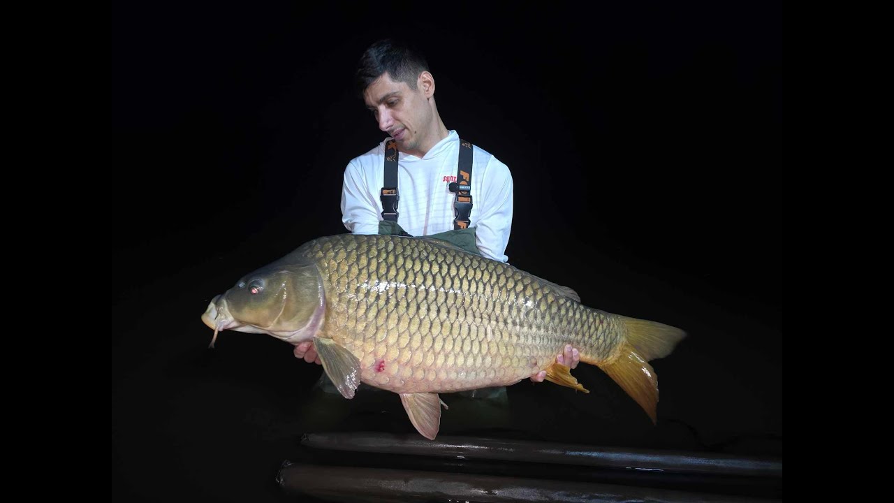 Balta Palatului Caciulati - Crapi 