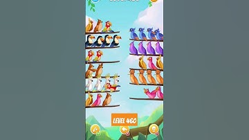 Birdsort Puzzle Game : Level 460 #shorts #youtubeshorts #puzzle #androidgames #birdsort #mracarfil