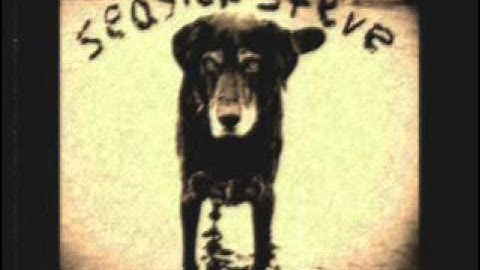 Seasick Steve: You Can