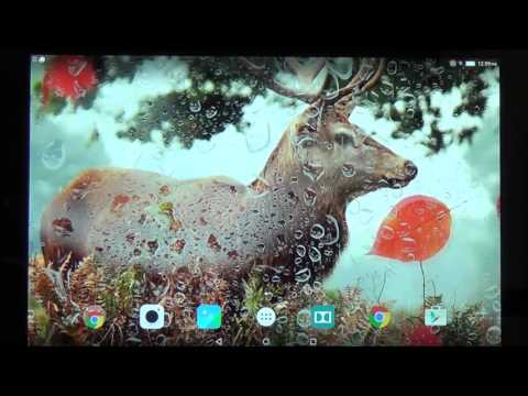 dễ thương thu Live Wallpaper
