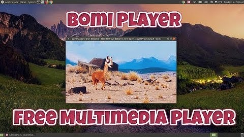 Bomi Multimedia Player for Linux