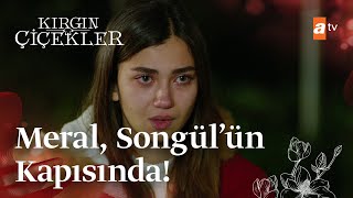 Songül, Meral'i eve kabul edecek mi? | Kırgın Çiçekler Mix Sahneler by Kırgın Çiçekler 1,131 views 1 day ago 2 minutes, 36 seconds