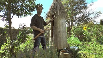 Log Hive Beekeeping - Natural Beekeeping Trust - Zeidler Tree Beekeeping