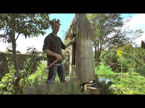 Log Hive Beekeeping - Natural Beekeeping Trust - Zeidler Tree Beekeeping