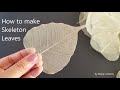 How to make Skeleton leaves / DIY Skeleton Leaves / Art and Craft projects