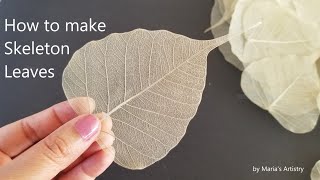How to make Skeleton leaves / DIY Skeleton Leaves / Art and Craft projects