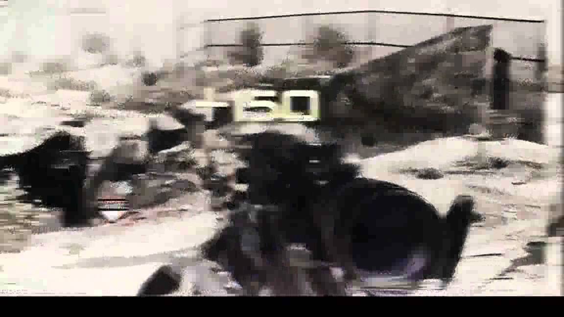 Dream: A Multi Cod Montage by Hold Myy Pole