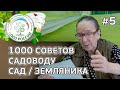 Обработайте сад весной от коккомикоза и монилиоза. Ответы на вопросы по уходу за садом и земляникой.