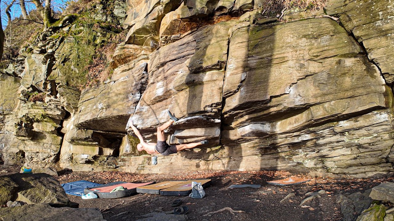 Steppenwolf, 7A - Avalonia