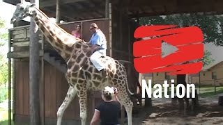 6 WILD Ideas for Your Bucket List!