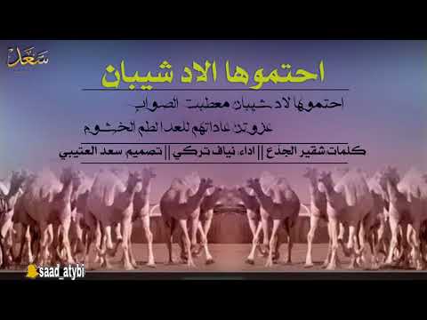 جديد احتموها لاد شيبان معطبت الصواب اداء نياف تركي حصريا