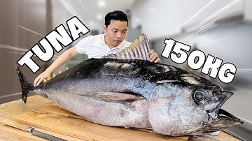 Con cá ngừ khổng lồ này phi lê sướng thật 😎 | Hoshi Phan Phi Lê Cá Ngừ