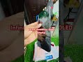 infinix hot60Pro+ OLED Display