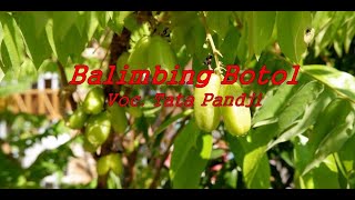 Tata Pandji - Balimbing Botol (Lirik)