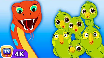 Snake & Parrots - Bedtime Stories for Kids in English | ChuChu TV Storytime #ChuChuTV100M thumbnail