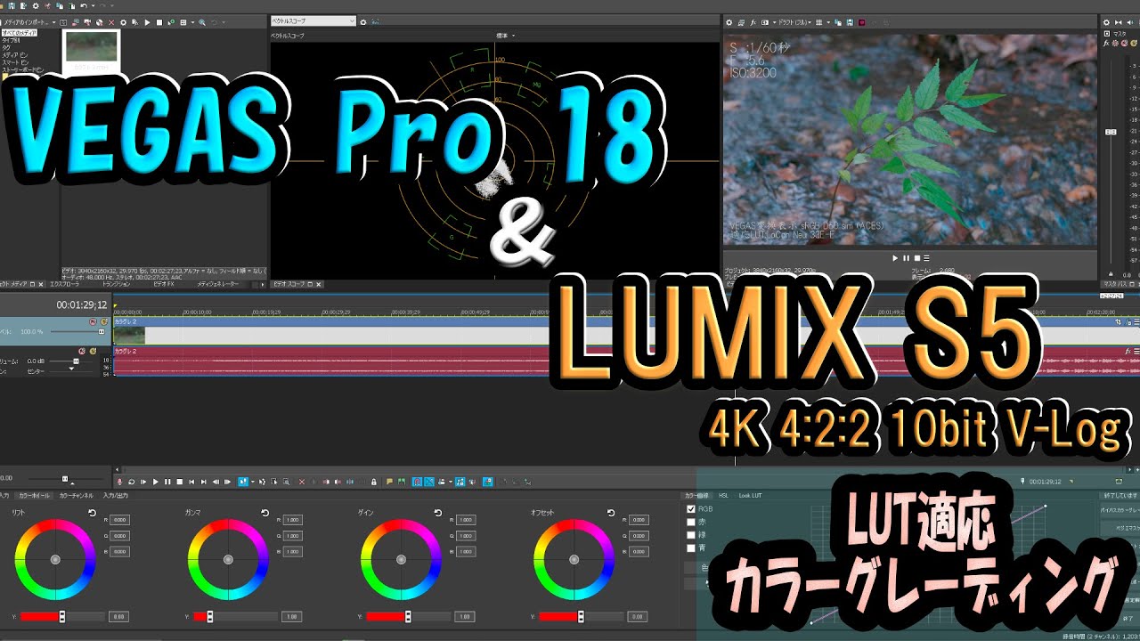 Vegas Pro 18 Lumix S5で撮影した動画にlutを適応し カラーグレーディングしたい Youtube Vegas Pro 18 Lumix S5で撮影した動画にlutを適応し カラーグレーディングしたい Youtube