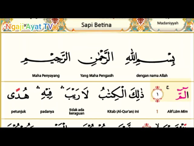 MERDU | Surah Al Baqarah : 1-7 | Plus Arti Perkata class=