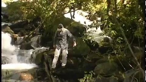 Parque Nacional Vicente Prez Rosales Encuentro Con...