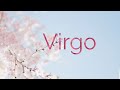 Virgo A Divine Partnership - April 11 - 17, 2022