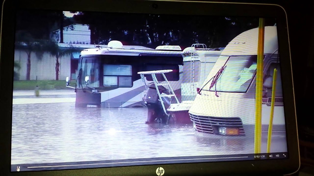 Palm Harbor flash flood rescue. - YouTube