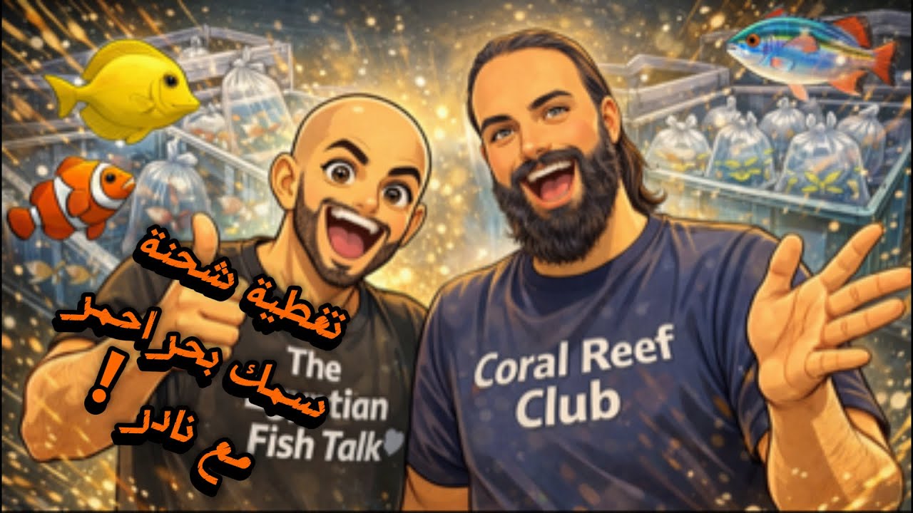 S6E97 - تغطية شحنة سمك بحر احمر مع نادر 