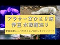 【女ひとり旅】伊豆 水族館巡りvlog（伊豆三津シーパラダイス／あわしまマリンパーク）