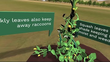 Unity Learn: Sustainable Farming Experience