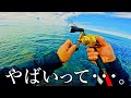 【穴釣り】真昼間にぶち曲がる、大物ロッド。