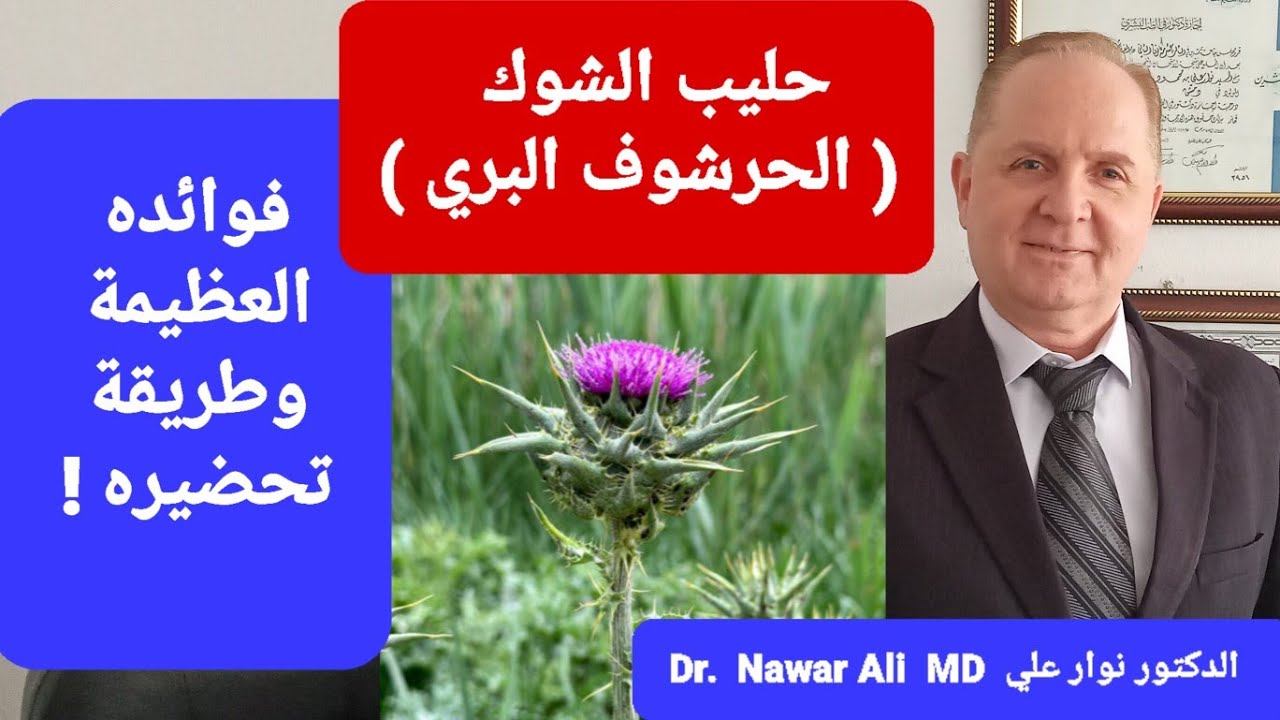 حليب الشوك ! العشبة المذهلة والأقوى لعلاج الأمراض .. فوائدها العظيمة وطريقة تحضيرها وتناولها !