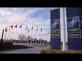 Трамп рассматривает возможность выхода США из НАТО