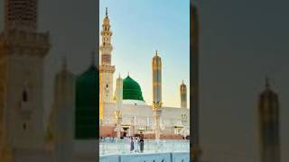 Allah ke liye like Karen #facts #video