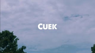 CUEK - Rizky Febian (Cover By Brigita Meliana) | Story WA