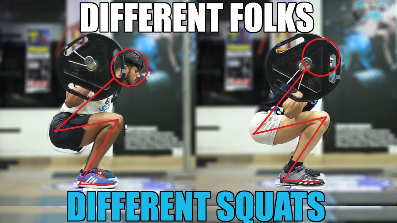 Anatomy Of A Squat Anatomy Book