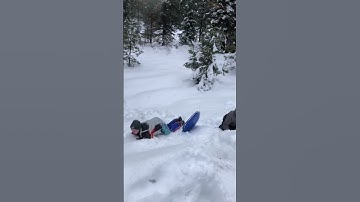 Sledding Fails #shorts