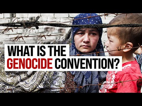 Genocide Prevention Explained: Is it International Law?